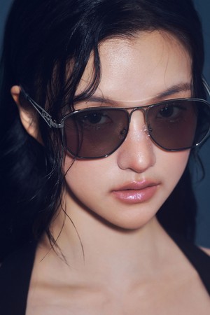 STAINLESS VEIL SUNGLASS GRAY