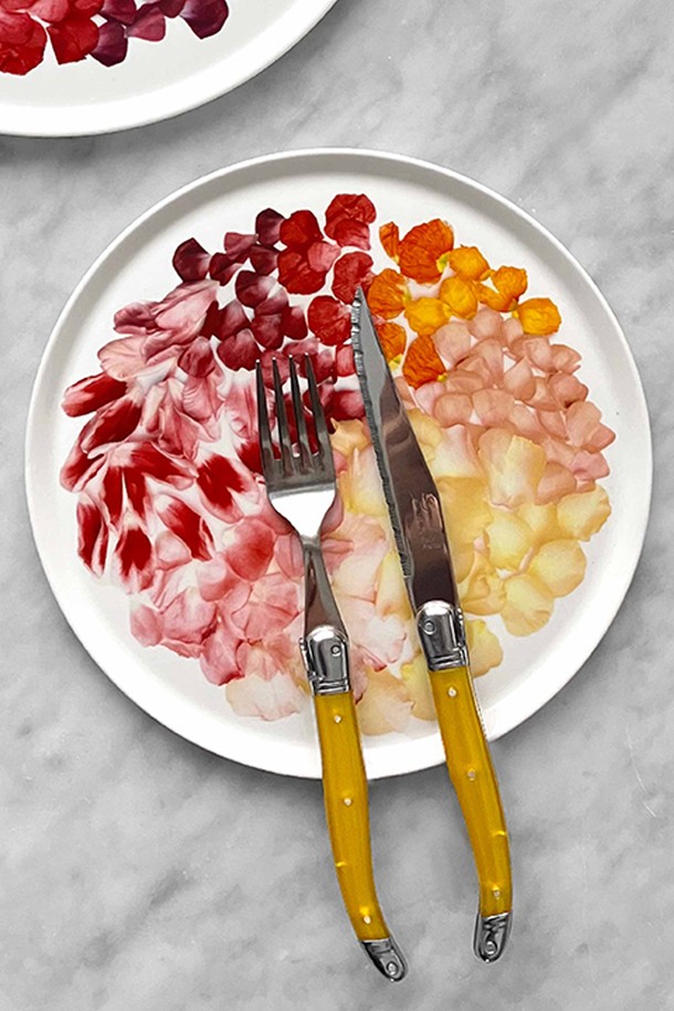 [Twig NewYork] 페탈 8인치 접시는 섬세한 플라워 패턴이 돋보이는 접시입니다. 도자기와 본애쉬 소재로 제작되어 가볍고 강하며 내구성이 뛰어납니다. 핸드 드로잉으로 섬세하게 표현된 꽃잎 디자인과 화이트, 핑크, 옐로우, 레드의 다채로운 컬러가 스칸디나비안 및 노르웨이풍 스타일을 연출합니다. 전자레인지와 식기세척기 사용이 가능하여 실용적이며, 오븐 사용은 불가합니다. 22cm 크기로, 테이블 세팅에 포인트를 더해줍니다.
