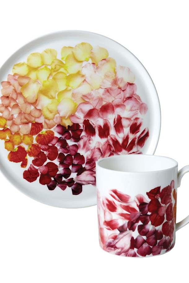 [Twig NewYork] 페탈 싱글 디저트&브런치 세트는 북유럽 스타일과 내추럴 무드를 담아낸 식기 세트입니다. 고밀도 본애쉬 도자기로 제작되어 가볍고 강하며 내구성이 뛰어납니다. 브리트니 잡슨 아티스트와의 콜라보레이션을 통해 완성된 스칸디나비안 포크 디자인과 노르웨이풍 플라워 패턴이 특징입니다. 화이트, 레드, 옐로우, 핑크의 섬세한 컬러와 핸드 드로잉으로 표현된 자연스러운 꽃잎 표현이 디저트와 브런치를 더욱 돋보이게 합니다. 접시 1개와 머그 1개로 구성되어 있으며, 디저트와 브런치 용도로 사용하기 좋습니다.
