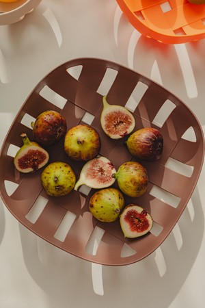 닥터하우스 담은 다용도 바스켓 4종