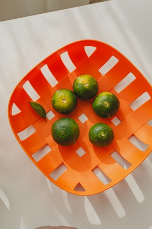 닥터하우스 담은 다용도 바스켓 4종