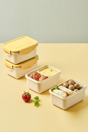 닥터하우스 오래 신선 항균 밀폐용기 나눔 530ml 2칸