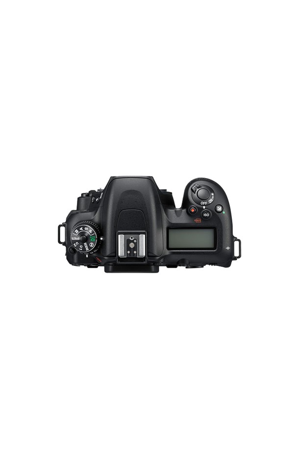 Nikon - 영상가전 - 니콘 DX 포맷 DSLR 카메라 D7500 BODY