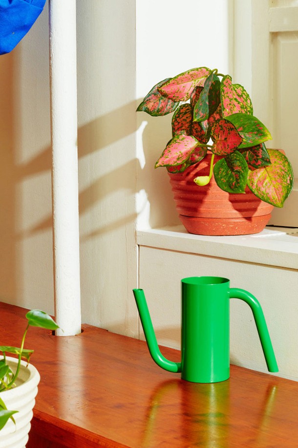 세련된 디자인의 [에어리어웨어] 탱고 워터링 캔은 실내 화분에 물을 주는 용도로 제작되었습니다. 0.6L 용량의 이 물뿌리개는 그린, 옐로우 컬러로 제공되며, 스틸 소재에 파우더 코팅 처리를 하여 내구성을 높였습니다. 인체공학적 손잡이와 뚜껑 내장, 주둥이 일체형 디자인으로 기능성과 미니멀한 디자인을 모두 갖춘 인테리어 소품입니다.
