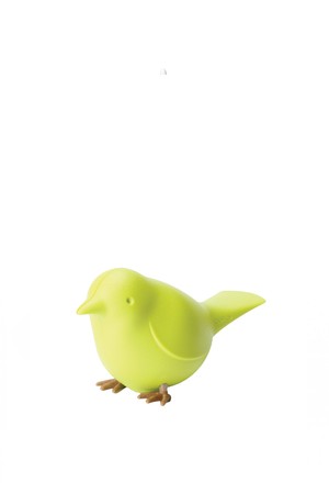 [퀄리디자인] 참새 클립홀더 마그넷