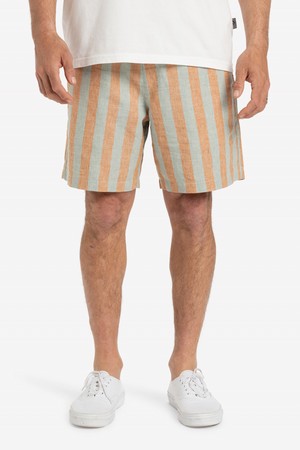 TAXER HEMP 워크숏 반바지 (QF21WK006CMN)