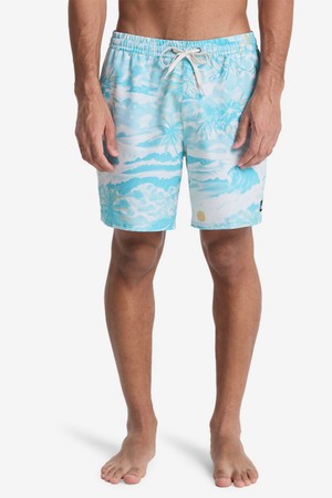 에브리데이 프린트 17인치 발리숏 (QG21BS008BJK)