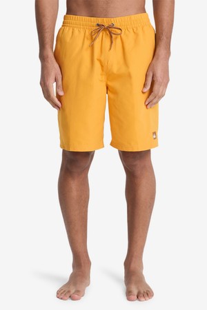 에브리데이 솔리드 19인치 발리숏 (QG21BS023YKM)