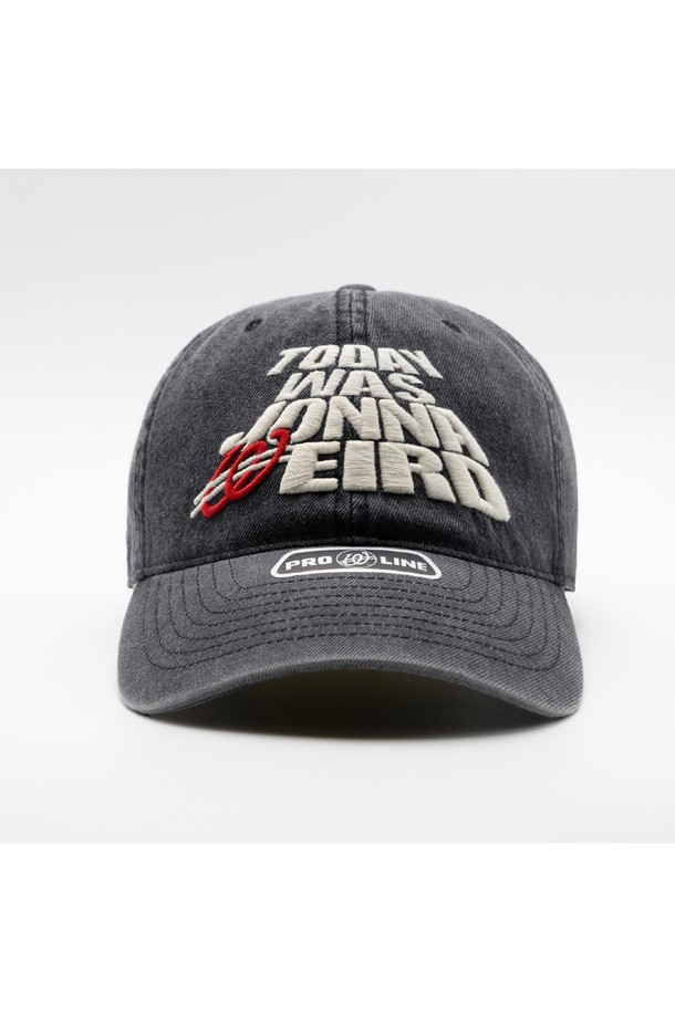 위얼드월드 JONNA WEIRD(존나 위어드) 데님 볼캡입니다. 블랙 컬러의 데님 소재로 제작되어 캐주얼, 미니멀, 스트리트 스타일을 연출하기 좋습니다. 워싱 처리된 뻣뻣한 촉감의 데님 소재와 로고 자수 디테일이 특징이며, 여행룩과 캠핑룩에 잘 어울립니다. 봄, 여름, 가을, 계절에 착용하기 좋으며, 일반적인 모자 깊이와 챙 넓이로 디자인되었습니다. 데님 특유의 자연스러운 질감과 로고 패턴이 돋보이는 볼캡입니다.
