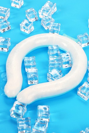 테크스킨 아이스 넥쿨러 특대형 아이스넥밴드 쿨스카프 얼음 목걸이_BLUE-a