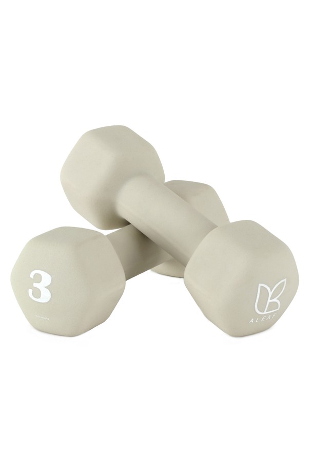 아리프 선인장 미용아령 3kg 2개 1세트 덤벨 여성아령 컬러아령_PINK-a