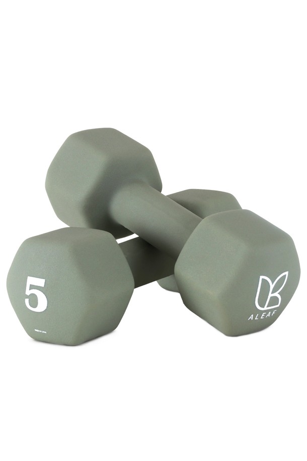 아리프 선인장 미용아령 5kg 2개 1세트 덤벨 여성아령 컬러아령_PINK-a