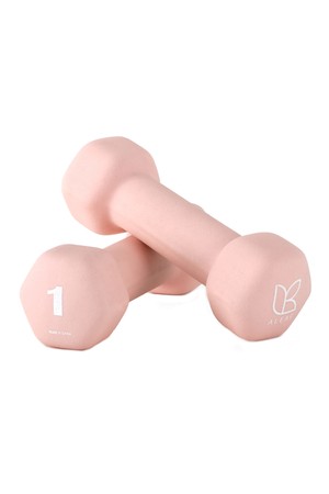 아리프 선인장 미용아령 1kg 2개 1세트 덤벨 여성아령 컬러아령_PINK-a