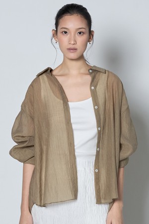 Sheer Shirt_Brown