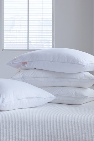 [오디넌트] 베이직 베개솜(40x60)