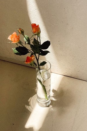 하우스 글라스 베이스 HOUSE GLASS VASE 20cm