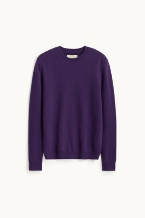 Cashmere Compact Crewneck Knit_Purple