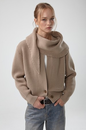 HEAVY WOOL CHUNKY CARDIGAN (BEIGE)