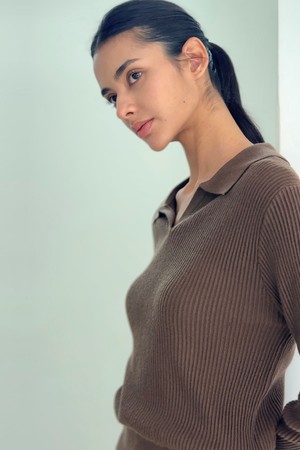 fletcher collared knit (brown)
