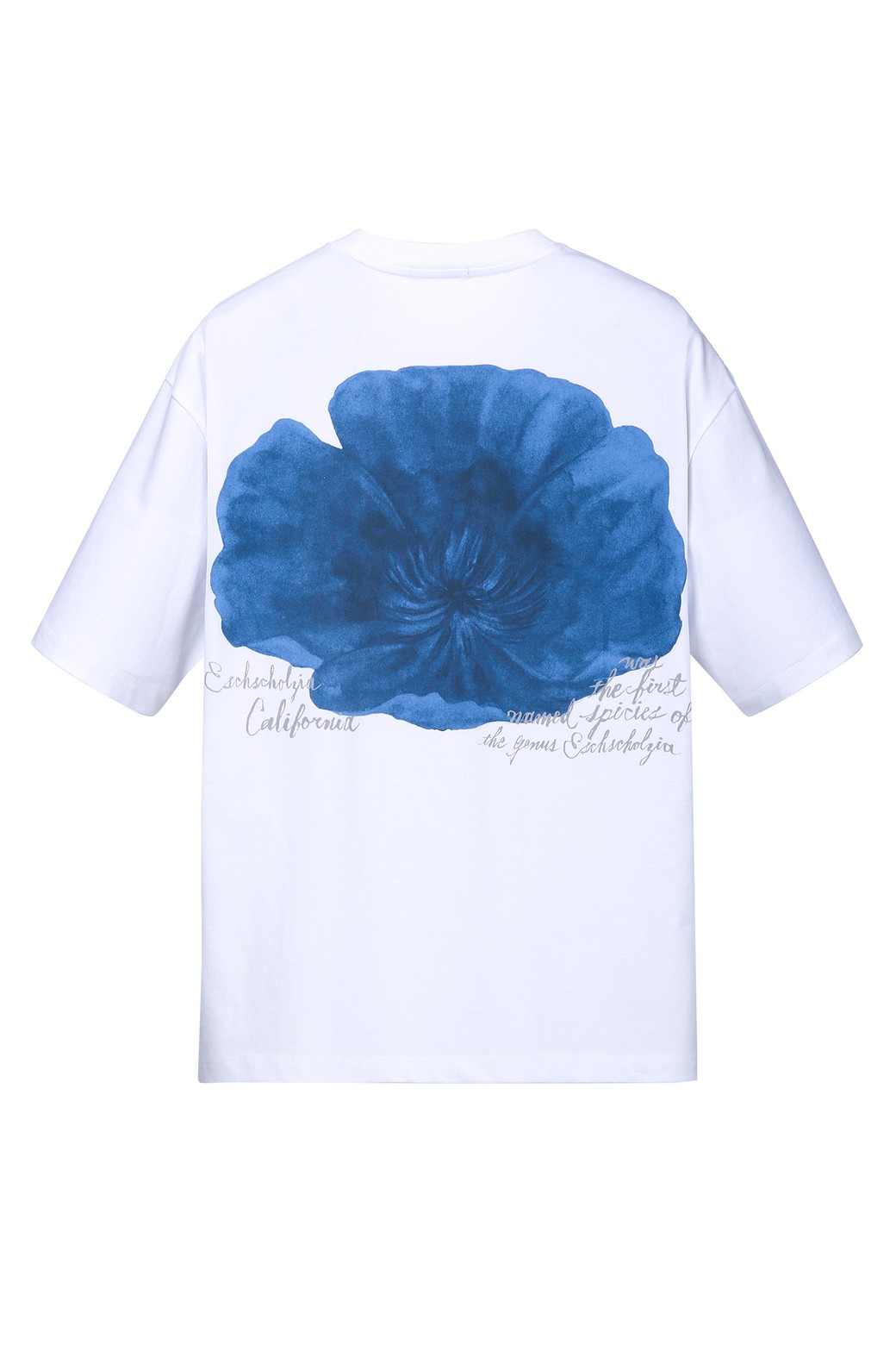 JILLSTUART NEW YORK MEN - 반팔티셔츠 - 화이트 플라워 프린트 반팔티셔츠 (JNTS5B302WT)