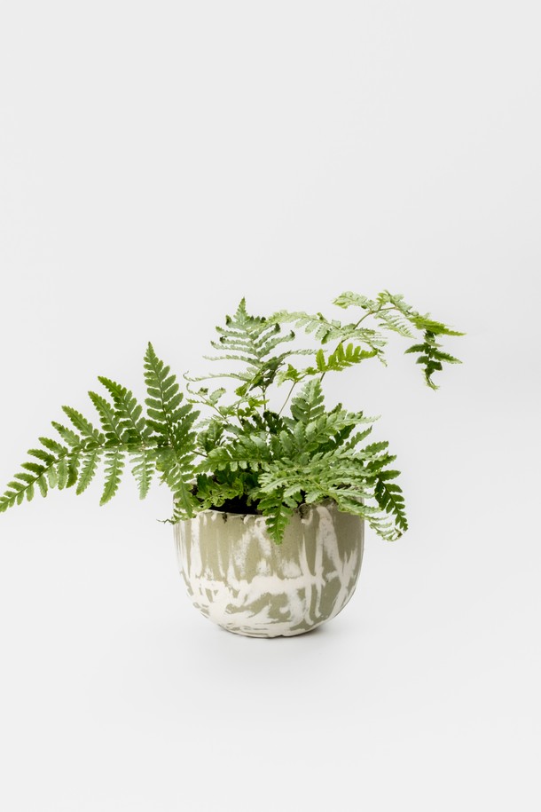 플랜트 세트 12. 넉줄고사리는 세라믹 화분에 담긴 넉줄고사리 식물과 함께 선물 포장백, 메시지 카드, 식물 관리 가이드로 구성된 홈데코 상품입니다. 화이트와 그린 색상의 조화가 돋보이는 중형 사이즈로, 내추럴하고 미니멀한 스타일을 연출합니다. 저광량 환경에서도 잘 자라 공기 정화 기능까지 갖춰 실내 인테리어에 적합합니다. 넉줄고사리는 주 1회 물주기를 권장하며, 선물용으로도 좋습니다. 넉줄고사리 플랜트 세트로 집 안을 싱그럽게 꾸며보세요.
