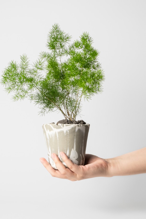 "플랜트 세트 12. 미리오클라두스"는 우산형 잎 디자인이 돋보이는 아스파라거스과 식물입니다. 12cm 도자기 화분에 심어져 있으며, 전체 높이는 27-32cm입니다. 물주기는 1주일에 한 번으로 관리가 용이하며 '변하지 않는 마음'이라는 아름다운 꽃말을 가지고 있어 집들이, 기념일 선물 또는 인테리어 소품으로 적합합니다. 식물, 화분, 기프트 백, 메시지 카드, 식물 관리 가이드로 구성되어 있으며, 재활용 가능한 종이 완충재를 사용하여 안전하게 포장됩니다.
