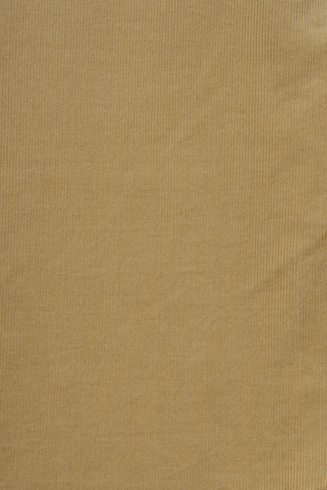 BRENTWOOD - 긴팔셔츠 - 솔리드 코듀로이 캐주얼셔츠