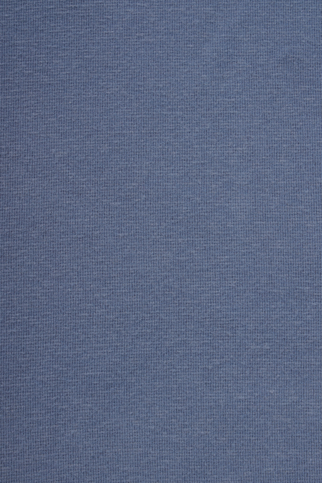 BRENTWOOD - 긴팔티셔츠 - 기모 솔리드 폴로넥 티셔츠