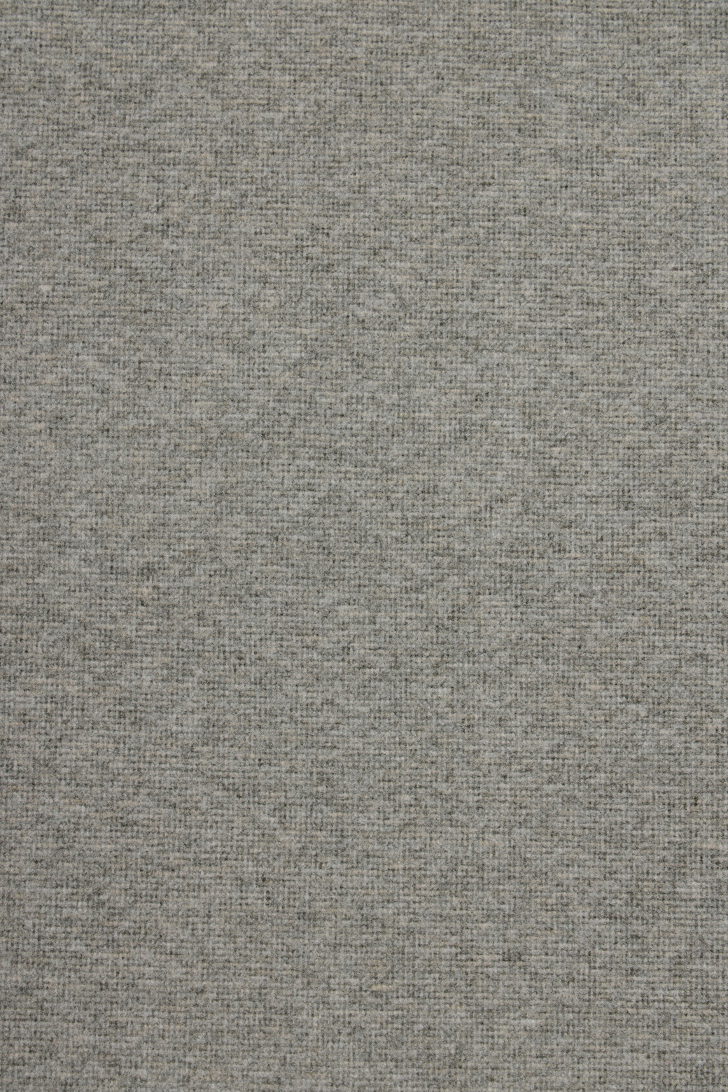 BRENTWOOD - 긴팔티셔츠 - 기모 솔리드 폴로넥 티셔츠