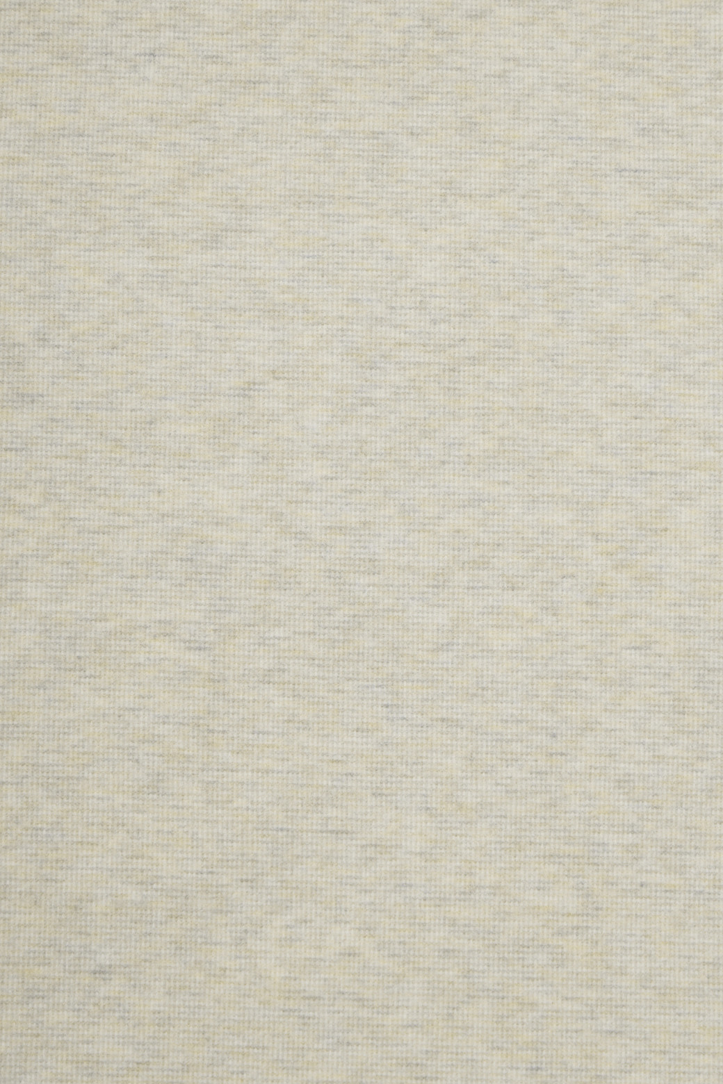 BRENTWOOD - 긴팔티셔츠 - 기모 솔리드 폴로넥 티셔츠