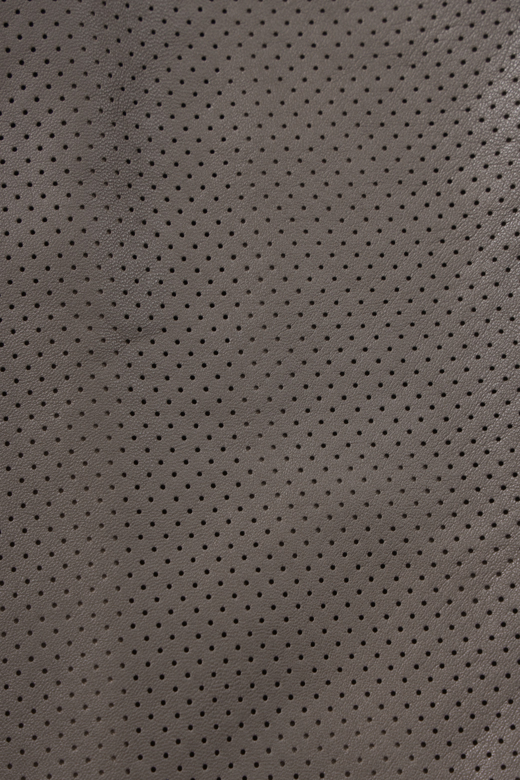 BRENTWOOD - 블루종/점퍼 - [볼더레더] 나빠 펀칭 양가죽 블루종