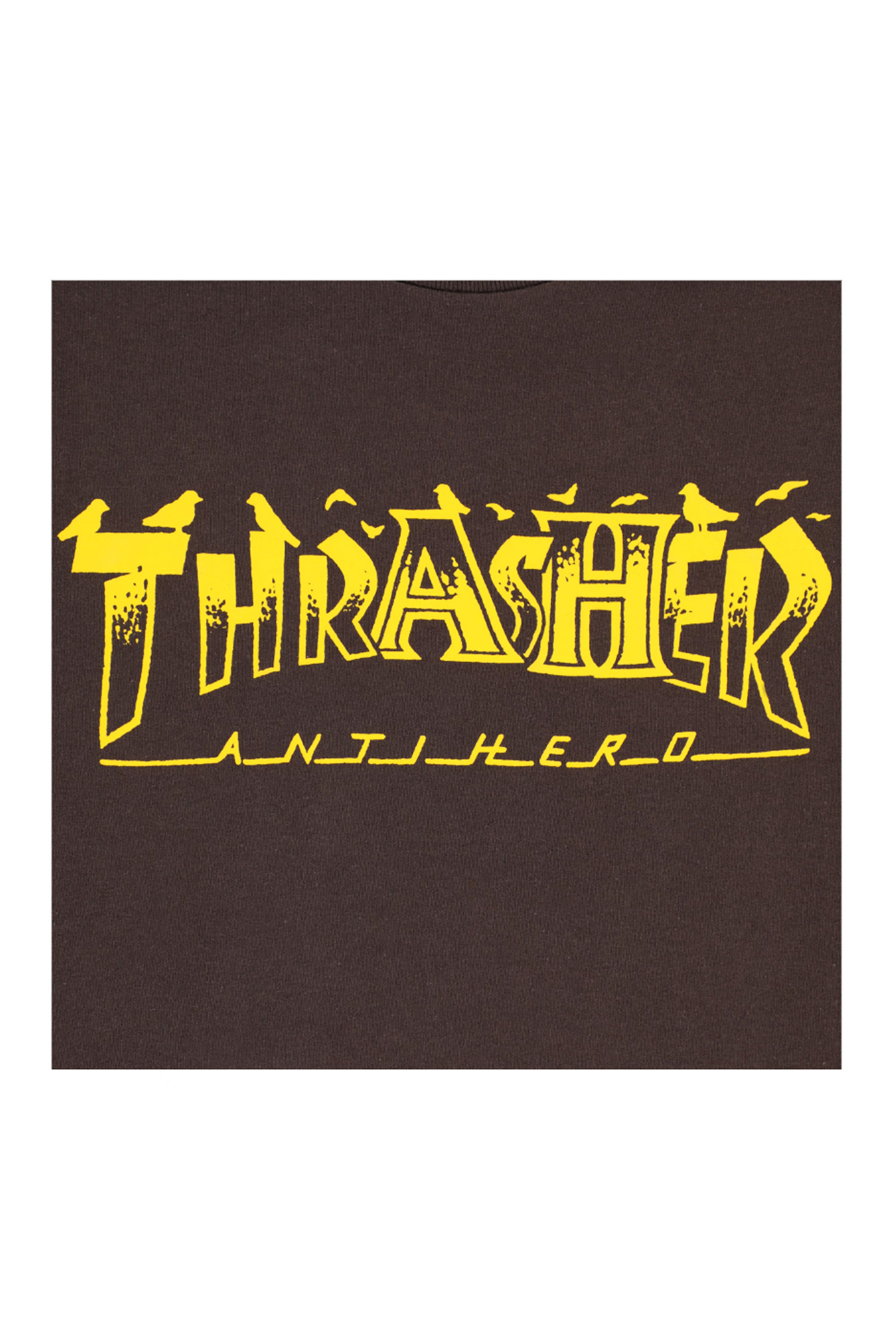 THRASHER - 반팔티셔츠 - [트레셔X안티히어로] PIGEON MAG T-SHIRT DARK CHOCOLATE