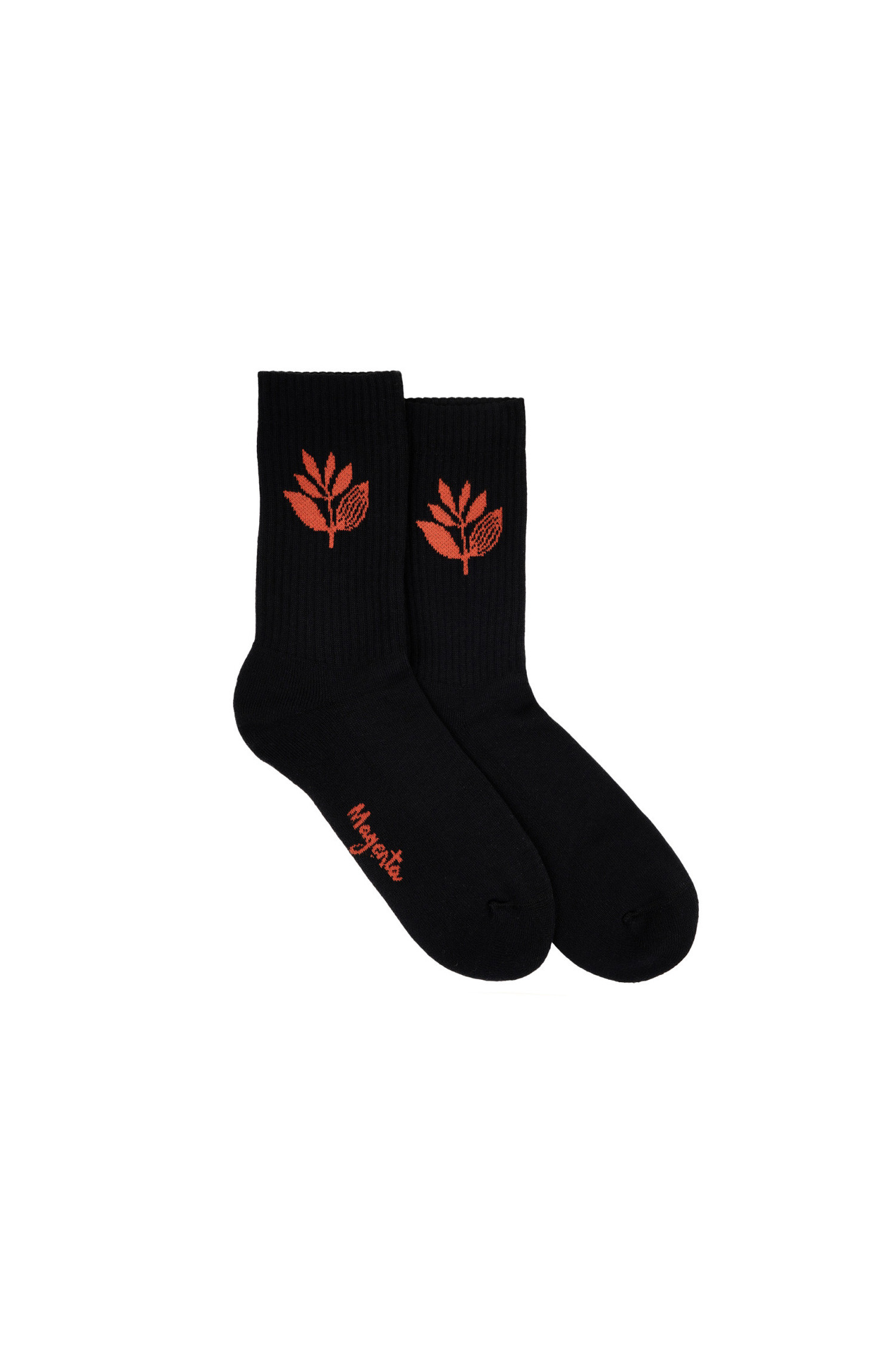 [마젠타] PLANT SOCKS 플랜트 삭스 - BLACK / AUBURN