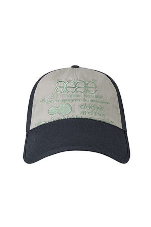 AEAE] WEB LOGO DENIM 5 PANNEL CAP 웹 로고 데님 5패널 캡