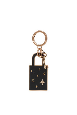 Louis Vuitton Twiggy Chain Keyring and Bag Charm