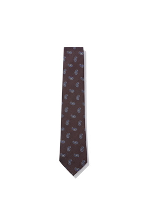 wine paisley pattern tie