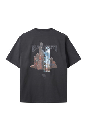 Grey Rock Graphic T-shirt