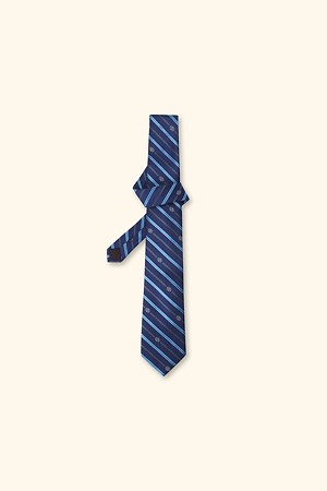 Silk Stripped Tie