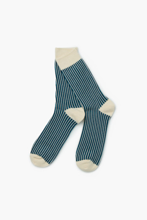 FW 컬러 스트라이프 양말