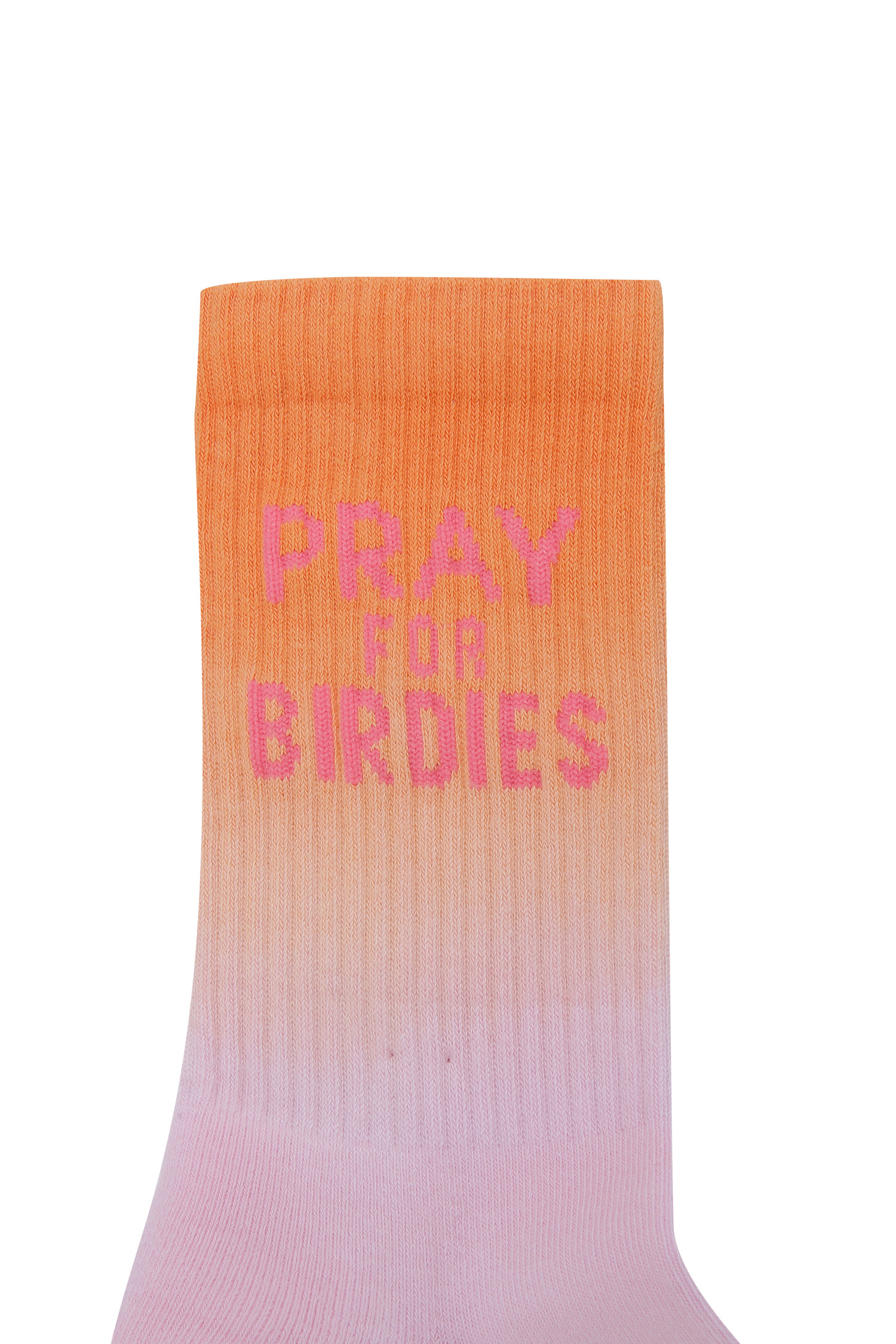 PRAY FOR BIRDIES OMBRE CREW SOCKS(WOMEN)_GFORE