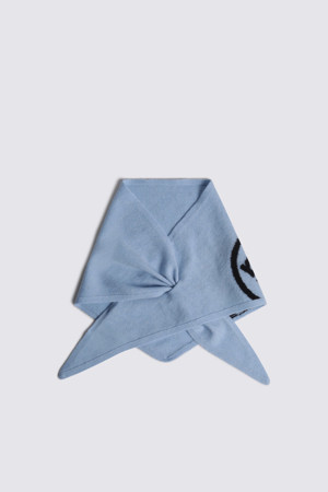 CASHMERE BLENDED SCARF_BLUE-a