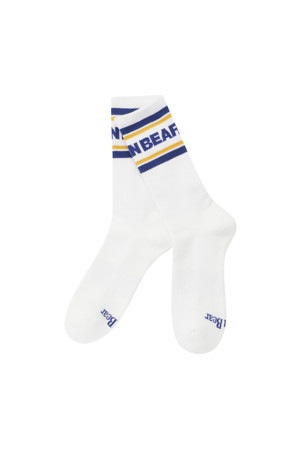 Color Wordmark Stripe Socks