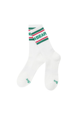 Color Wordmark Stripe Socks