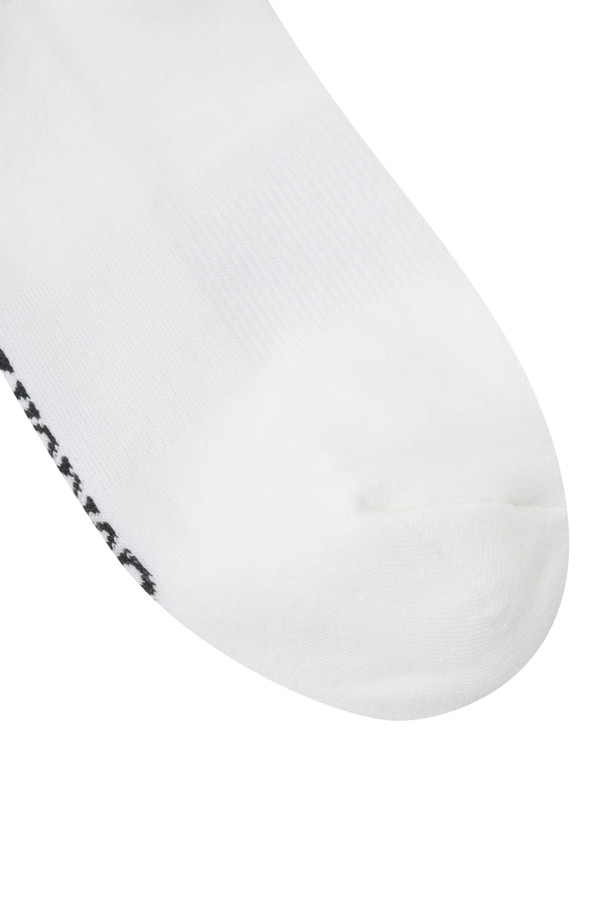 Golden Bear - 양말 - (WOMEN) Essential Knee Socks(White)