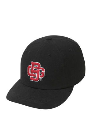 New Bold Logo Baseball Cap