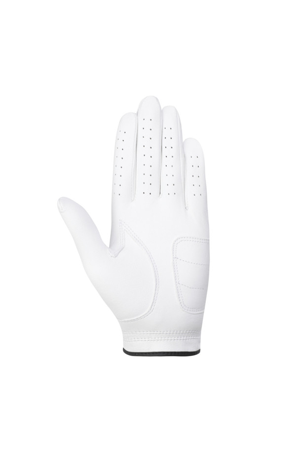 Golden Bear - 장갑 - (Women's) Color Glove