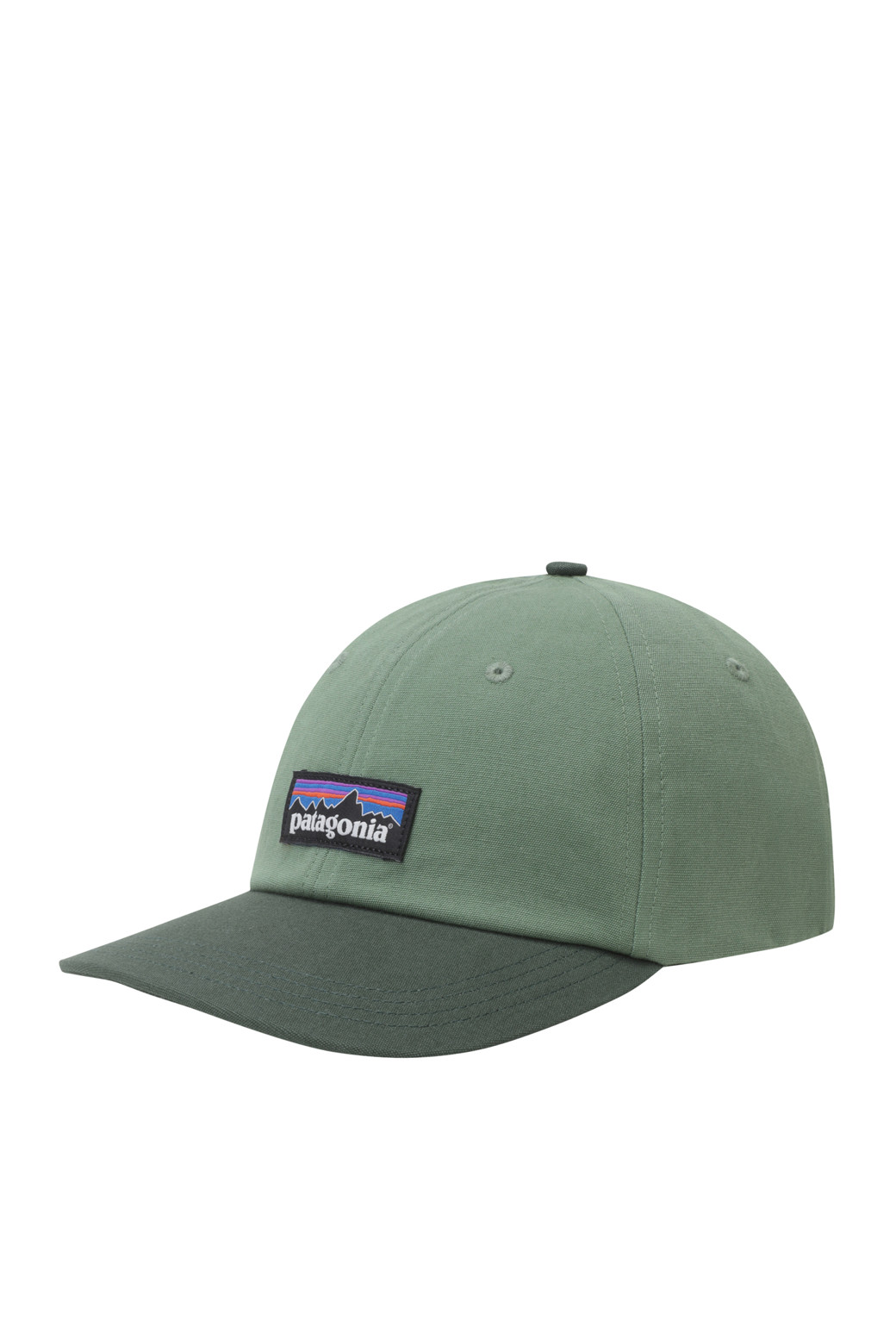 PATAGONIA - 모자 - (PATAGONIA) P-6 Label Trad Cap - 38296 TNGR