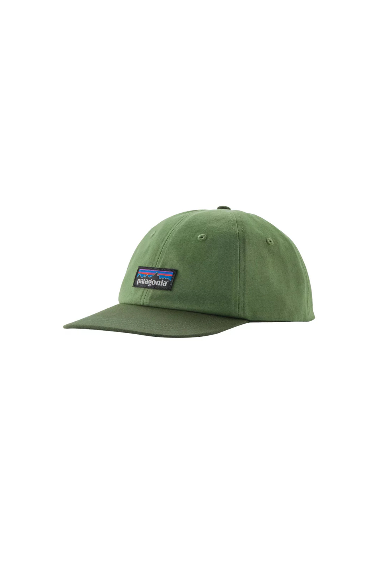 PATAGONIA - 모자 - (PATAGONIA) P-6 Label Trad Cap - 38296 TNGR