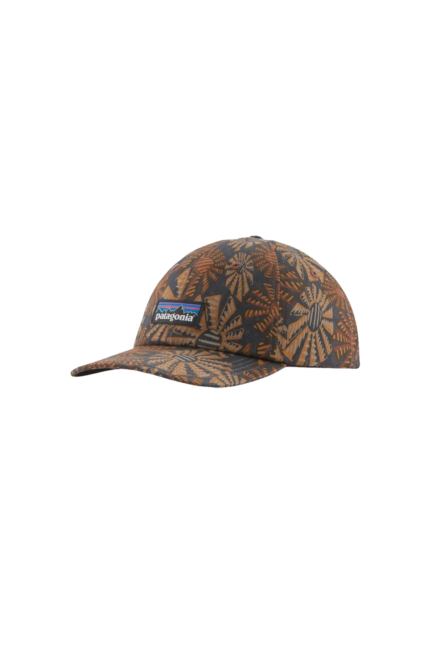 (PATAGONIA) P-6 Label Trad Cap - 38296 SWBE