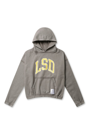 SOFTCELL HOODIE - AGED FALCON